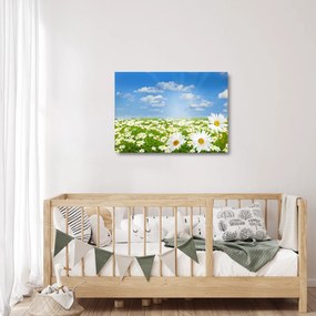 Sklenený obraz rozkvitnutej lúky s margarétkami (70x50 cm)