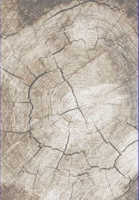 TA Koberec RE41A BÉŽOVÁ COMO HFW Rozmer: 160x230 cm