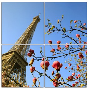 Obraz na plátne - Eiffelova veža v jarnom období - štvorec 334D (60x60 cm)