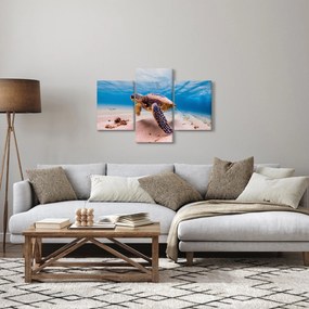 Obraz korytnačky v oceáne (90x60 cm)