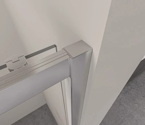 Erga Alpine, sprchový kút s posuvnými dverami 90(dvere) x 70(stena) x 195 cm, 6mm číre sklo, chrómový profil, ERG-V02-ALPINE-D090G070-CR