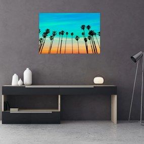 Obraz - Kalifornia (90x60 cm)
