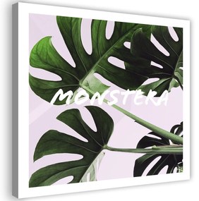 Gario Obraz na plátne Exotické listy - monstera Rozmery: 30 x 30 cm