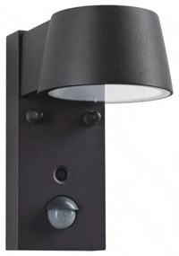 Paulmann 94714 - LED/6W IP44 Vonkajšie nástenné svietidlo so senzorom CAPERA 230V