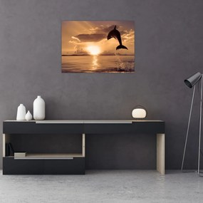 Sklenený obraz - Delfín pri západe slnka (70x50 cm)