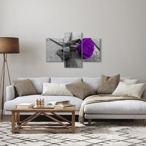 Obraz - Fialová ruža so zelenou stonkou (90x60 cm)