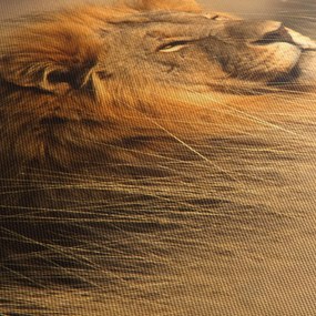 Obraz - Národný park Etosha (150x105 cm)