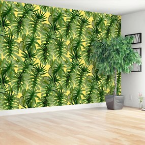 Fototapeta Vliesová Palma monstera 208x146 cm