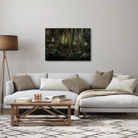 Sklenený obraz - Tajomný les (70x50 cm)