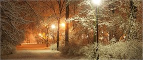 Obraz - Zasnežený park (120x50 cm)
