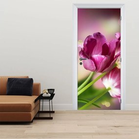 Fototapeta na dvere - Ružové tulipány (95x205cm)