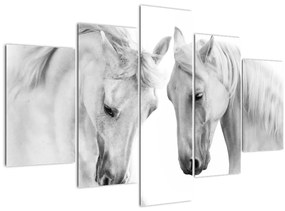 Obraz bielych koní (150x105 cm)