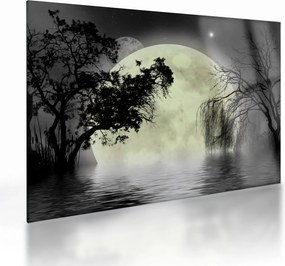 Sklenený obraz - Spln nad hladinou, čiernobiely variant (70x50 cm)