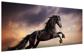 Obraz - Kone (120x50 cm)