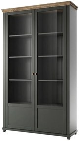 Vitrína 2D Evora 13 Dub Lefkas/Zelená