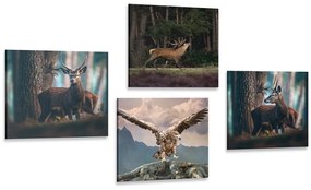 Set obrazov krása lesných zvierat Varianta: 4x 60x60