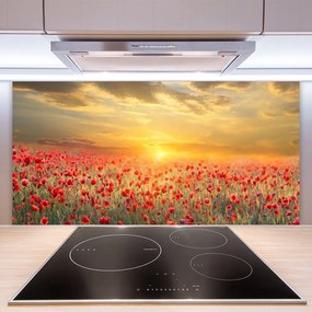 Sklenený obklad Do kuchyne Slnko lúka mak kvety 125x50 cm
