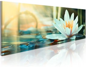 Artgeist Obraz - The Lake of Lotus Veľkosť: 150x50, Verzia: Premium Print