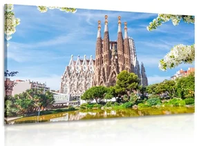 Obraz katedrála v Barcelone