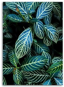 Gario Obraz na plátne Listy tropických rastlín Rozmery: 40 x 60 cm
