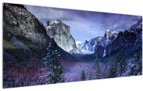 Obraz - Yosemite, USA (120x50 cm)