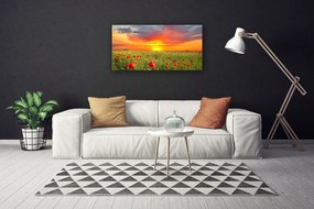 Obraz Canvas Maky slnko rastlina príroda 125x50 cm