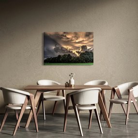 Obraz mračien a lesa (90x60 cm)