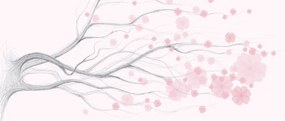 Obraz - Ružové kvety (120x50 cm)