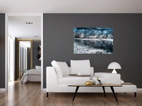 Obraz - Zamrznutá krajina (90x60 cm)