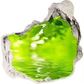 Nálepka fototapeta 3D výhľad Zelené listy nd-p-41296480