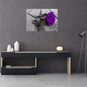Sklenený obraz - Fialová ruža so zelenou stonkou (70x50 cm)
