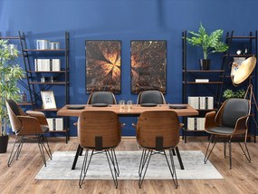 Stolička Silk (orech tmavý + čierna). Akcia -22%. Vlastná spoľahlivá doprava až k Vám domov. 1111269