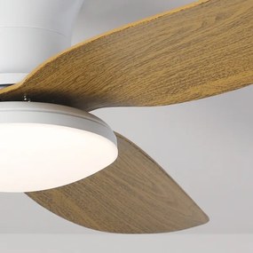Brilagi-LED stmievateľný stropný ventilátor LED/30W/230V 3000-6500K bielohnedý+D