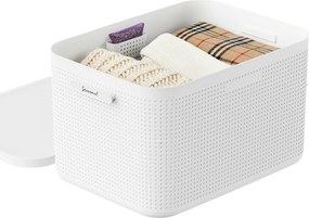 Rotho Úložný box do skrine s vekom, s levanduľou, šatníkový organizér LISORA - L, 50 × 35,6 × 28,2 cm