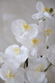Umelá orchidea ORCHIDELIS, plast, výška 87 cm, biela