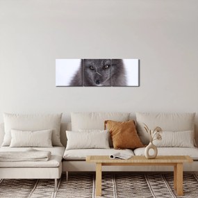 Obraz snežné líšky (s hodinami) (90x30 cm)