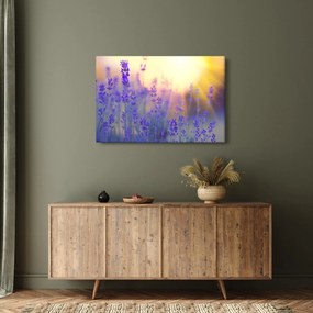 Obraz - Levanduľa (90x60 cm)