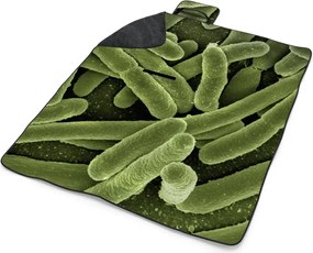 Sablio Plážová deka Baktérie: 200x140 cm