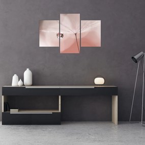 Obraz - Kvapka rosy (90x60 cm)