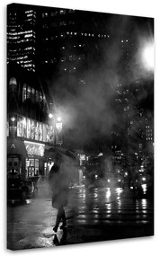 Gario Obraz na plátne New York v hmle - Nikita Abakumov Rozmery: 40 x 60 cm