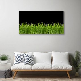 Obraz Canvas Zelená tráva príroda 125x50 cm