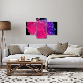 Obraz farebného dymu (90x60 cm)