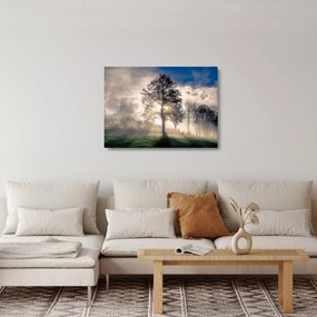 Sklenený obraz stromu v hmle (70x50 cm)