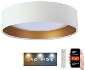 BPS Koncept LED Stropné svietidlo SMART GALAXY LED/24W/230V Wi-Fi Tuya biela/zlatá + DO BS0509