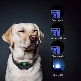 Elektrický výcvikový obojok pre psa na diaľkové ovládanie