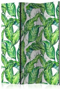 Artgeist Paraván - Long Leaves [Room Dividers]