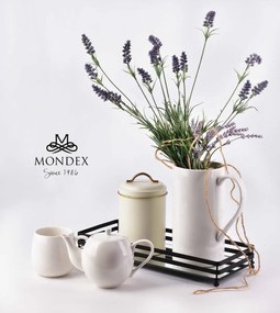 Obdĺžnikový dekoratívny podnos CEDRIC 39 cm so zrkadlom čierny