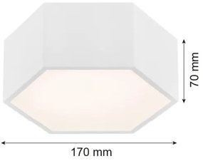 Argon 3828 - LED Stropné svietidlo ARIZONA LED/9W/230V biela