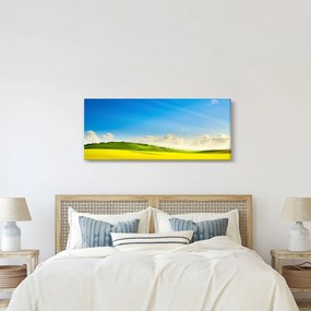 Obraz - Jarné nebo (120x50 cm)