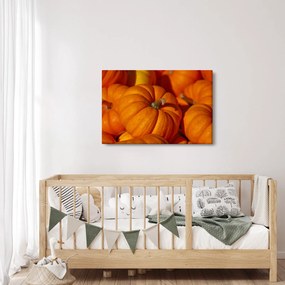 Obraz - Veľké tekvice (90x60 cm)